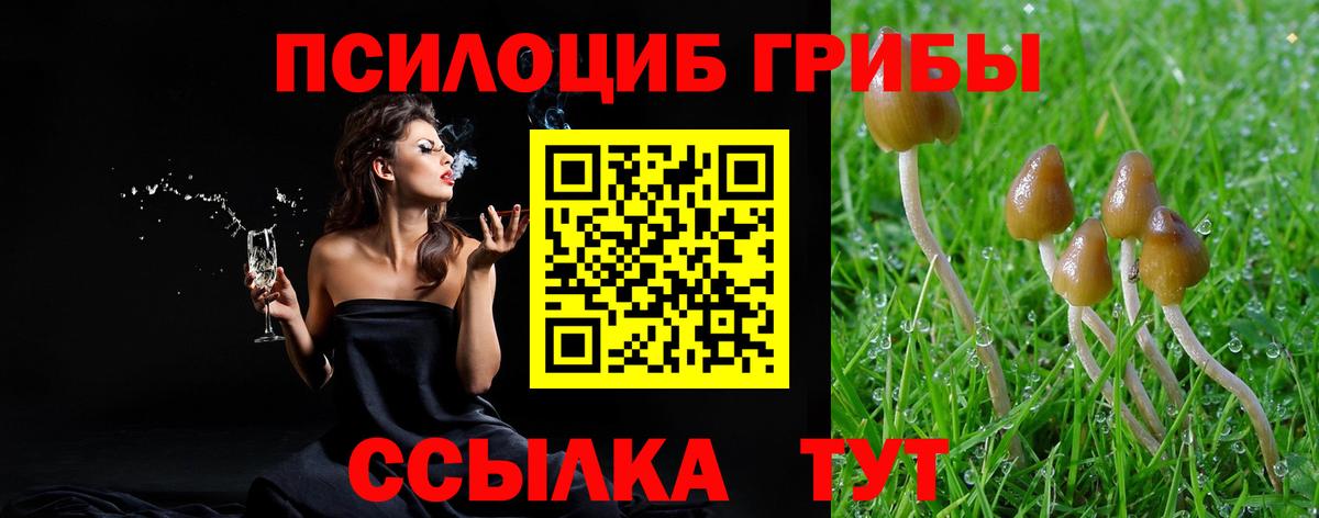 Гусев  Псилоцибиновые грибы ЛСД  Вход с VPN 